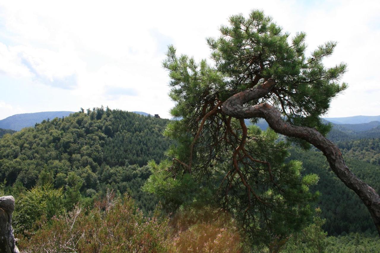 Chambre D'Hotes Petit Arnsbourg Obersteinbach Dış mekan fotoğraf