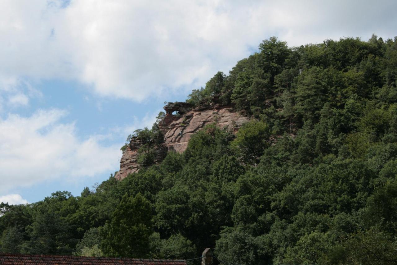 Chambre D'Hotes Petit Arnsbourg Obersteinbach Dış mekan fotoğraf