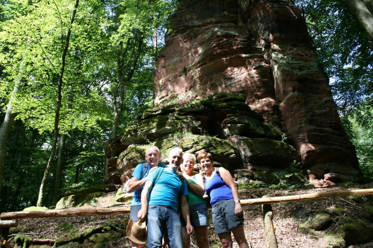 Chambre D'Hotes Petit Arnsbourg Obersteinbach Dış mekan fotoğraf